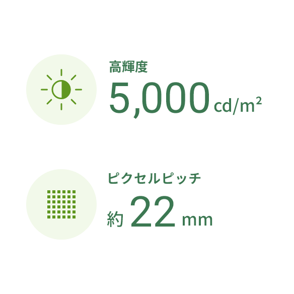 映像が鮮やかに目立つ